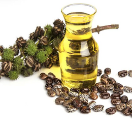 Castor Seed Oil 100ml